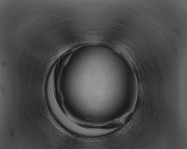 X0000090890389200708031057