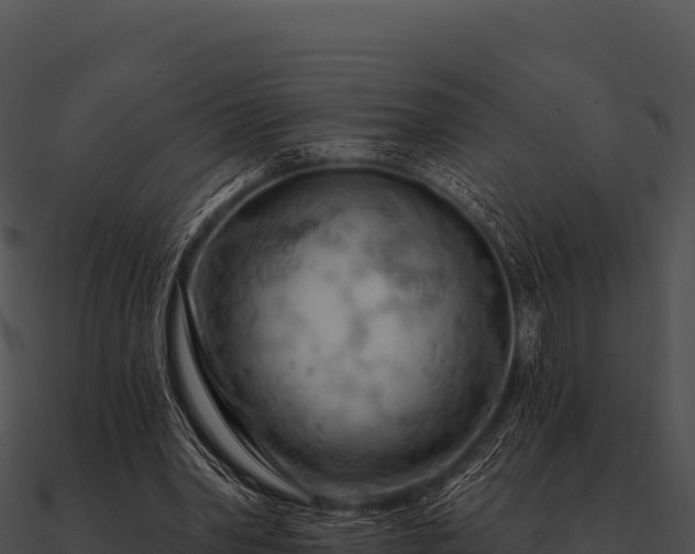 X0000090890390200708031057