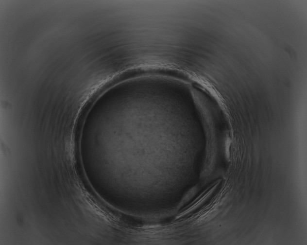 X0000090890391200708031057