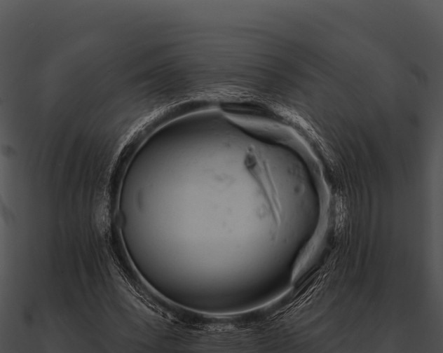 X0000090890392200708031057