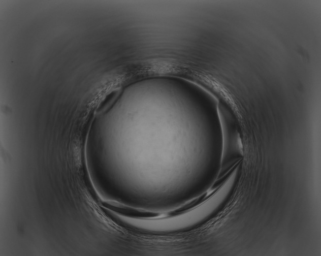 X0000090890393200708031057