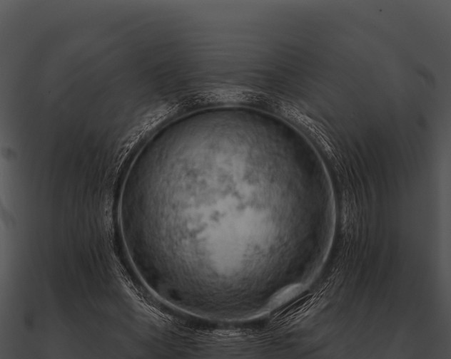 X0000090890394200708031057