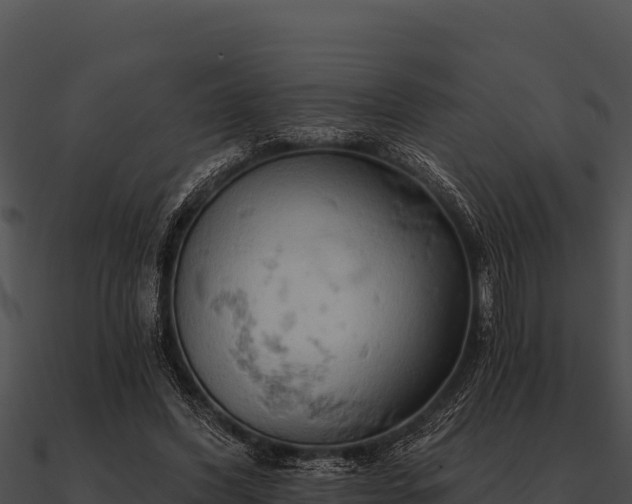 X0000090890396200708031057