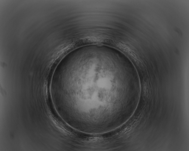 X0000090890398200708031057