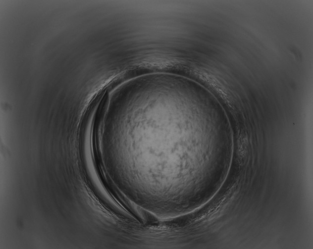 X0000090890399200708031057