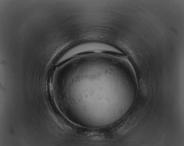 X0000090890400200708031057