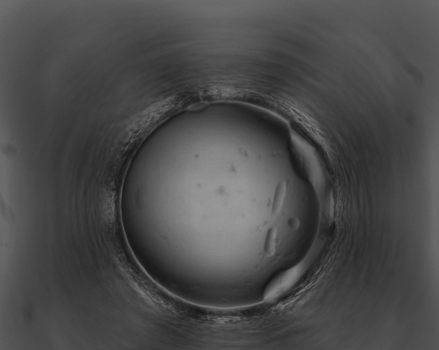 X0000090890401200708031057