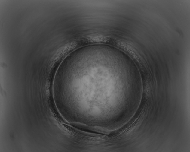 X0000090890402200708031057