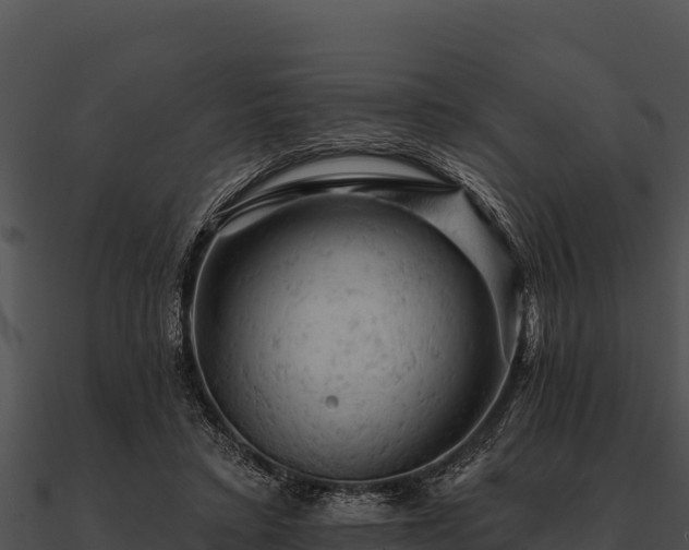 X0000090890403200708031056