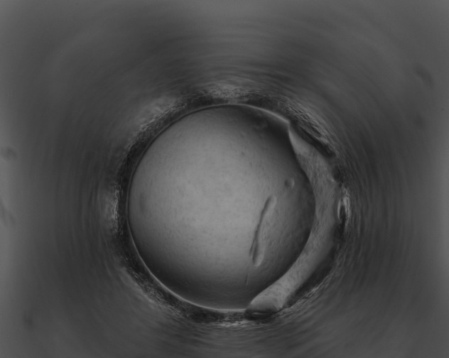 X0000090890404200708031056