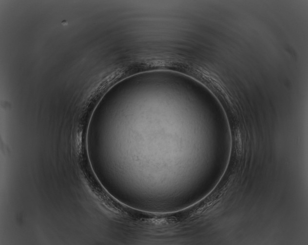 X0000090890406200708031056