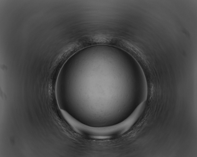 X0000090890407200708031056