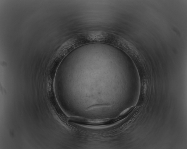 X0000090890408200708031056