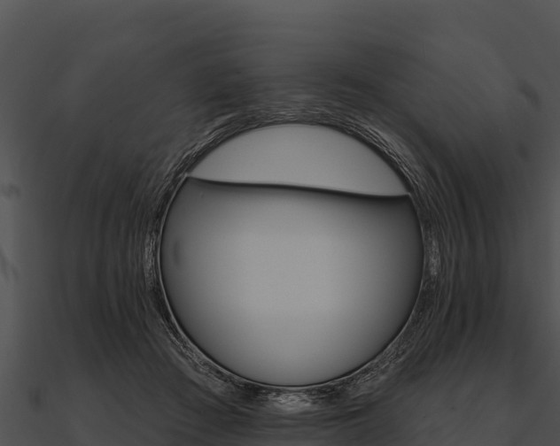 X0000090890409200708031056