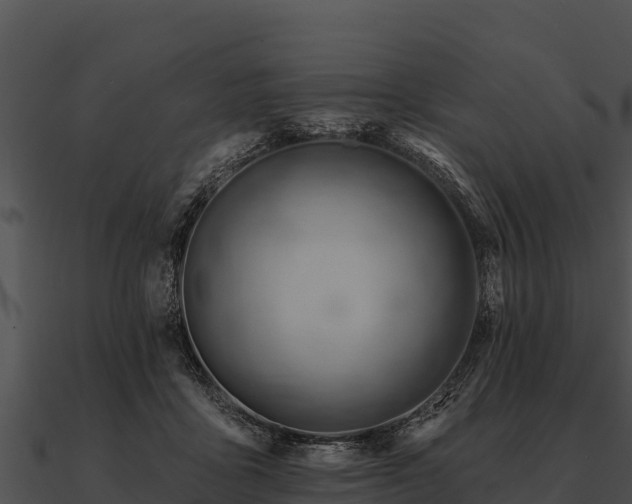 X0000090890411200708031056