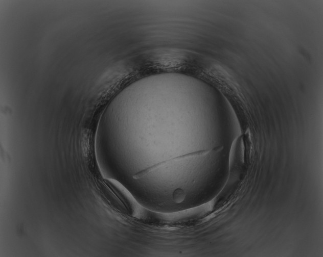 X0000090890412200708031056