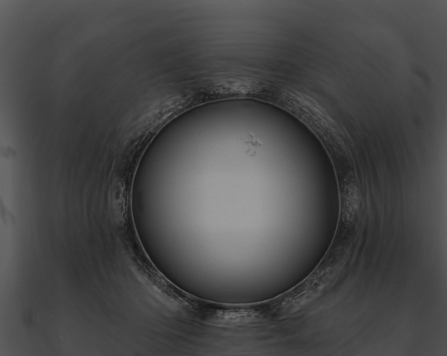 X0000090890414200708031056