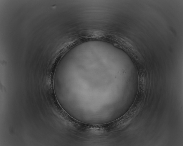 X0000090890415200708031056