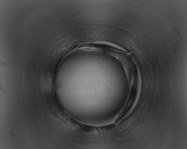 X0000090890416200708031056