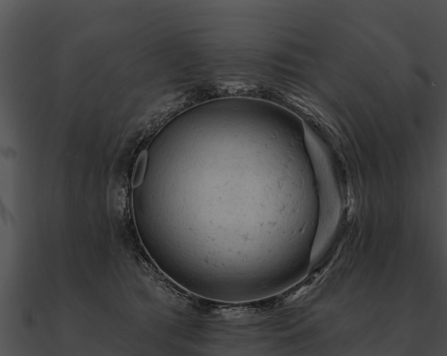 X0000090890417200708031056