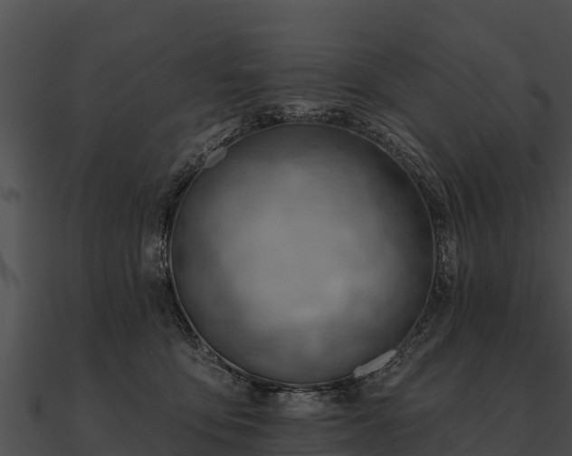 X0000090890419200708031056