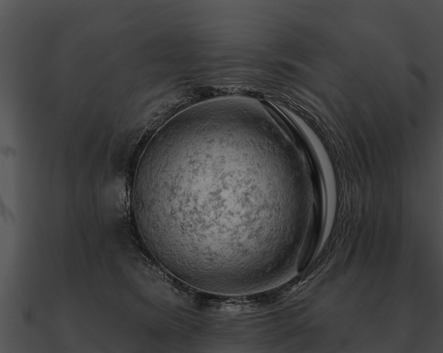 X0000090890420200708031056