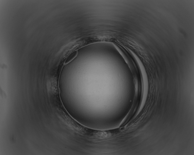 X0000090890421200708031056