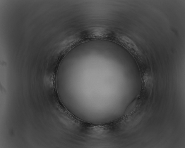 X0000090890423200708031056