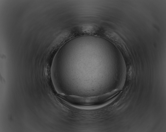 X0000090890424200708031056