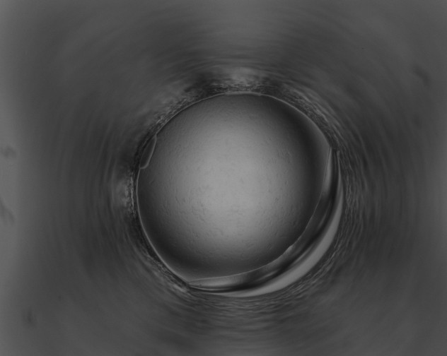 X0000090890425200708031056