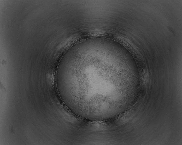 X0000090890427200708031056