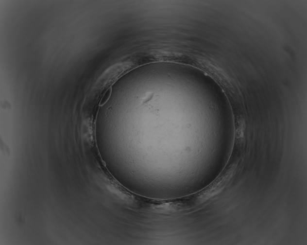 X0000090890430200708031056