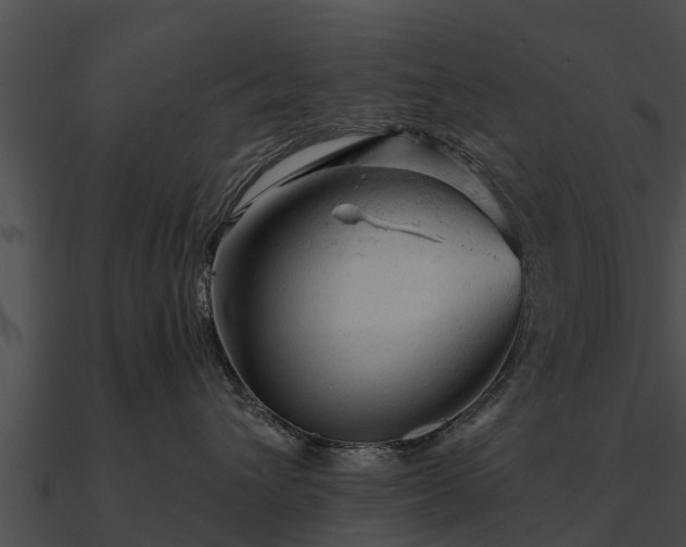 X0000090890432200708031056