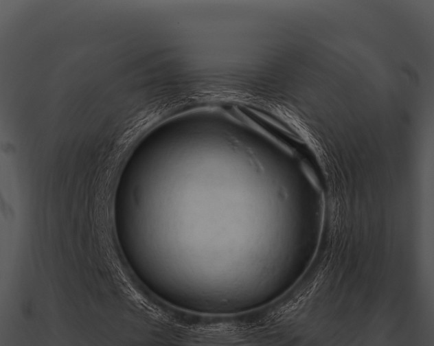 X0000090890433200708031055