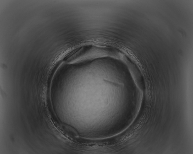 X0000090890434200708031055