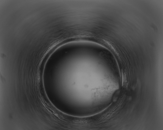 X0000090890435200708031055