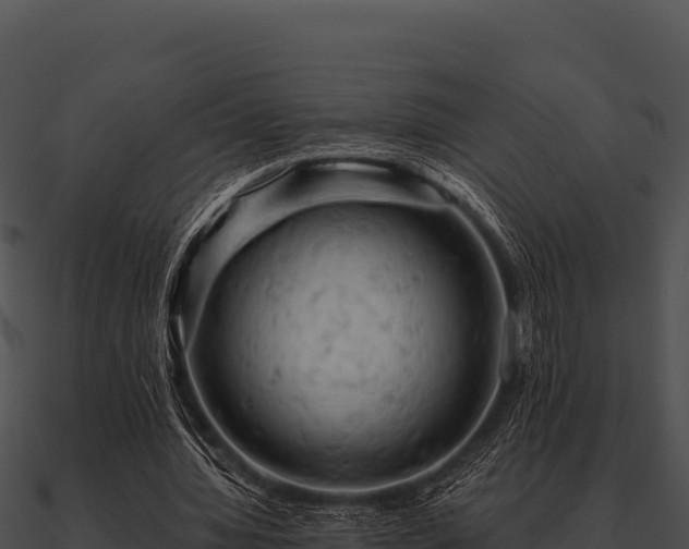 X0000090890436200708031055