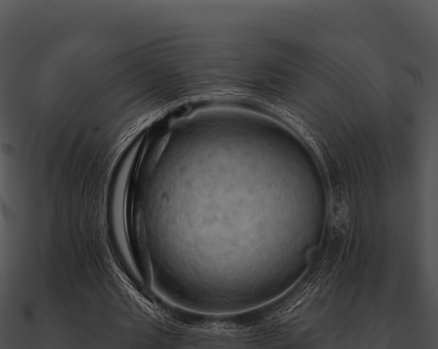 X0000090890437200708031055