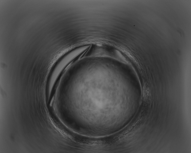 X0000090890438200708031055