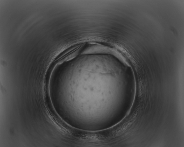 X0000090890439200708031055