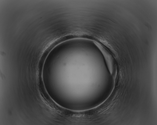 X0000090890440200708031055