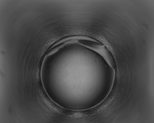 X0000090890441200708031055