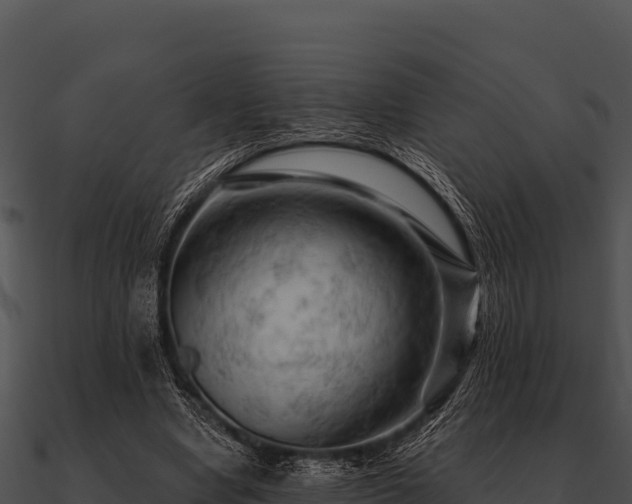 X0000090890442200708031055