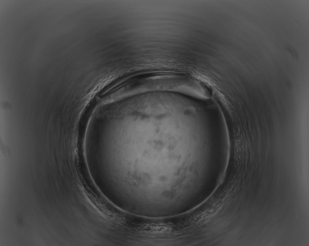 X0000090890443200708031055