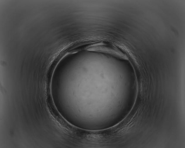 X0000090890444200708031055