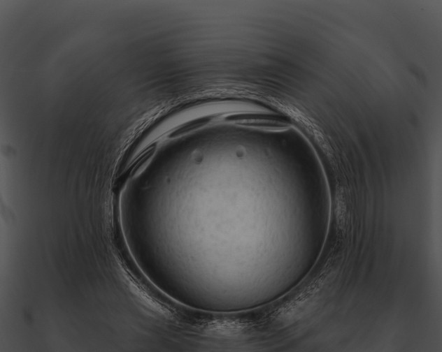 X0000090890445200708031055