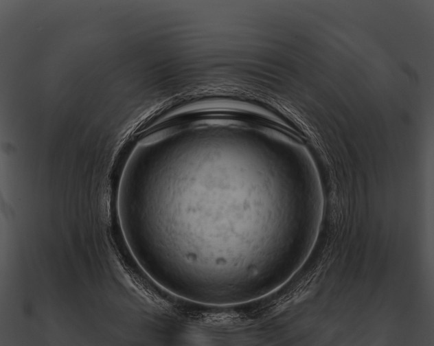 X0000090890446200708031056