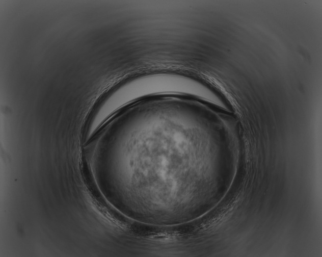 X0000090890447200708031056