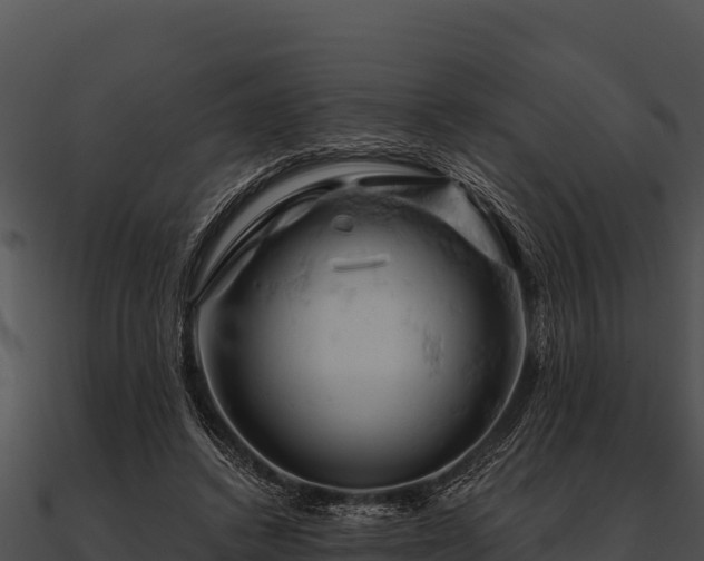 X0000090890448200708031056