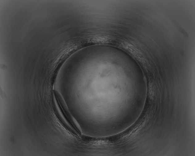 X0000090890449200708031056